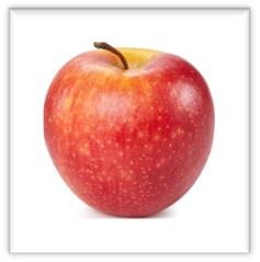 TIR AUX POMMES QUEVEN