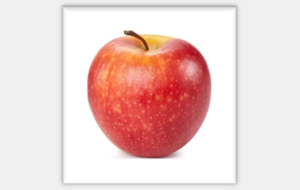 TIR AUX POMMES QUEVEN