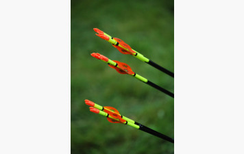 Salle du Ronquédo indisponible le dimanche 23 novembre.