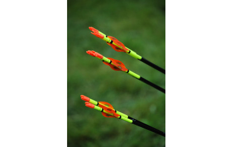 Salle du Ronquédo indisponible le dimanche 23 novembre.