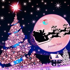 TIR DE NOËL QUEVEN