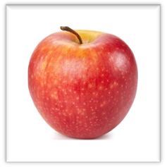 TIR AUX POMMES QUEVEN