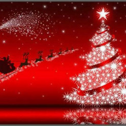 TIR DE NOËL QUEVEN